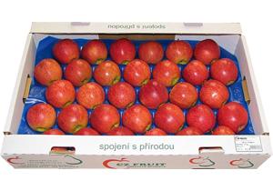 Jablka balená - Golden Delicious, Jonagold, Idared, Rubín, Bohemia, Šampion, Gala, Topaz, Braeburn