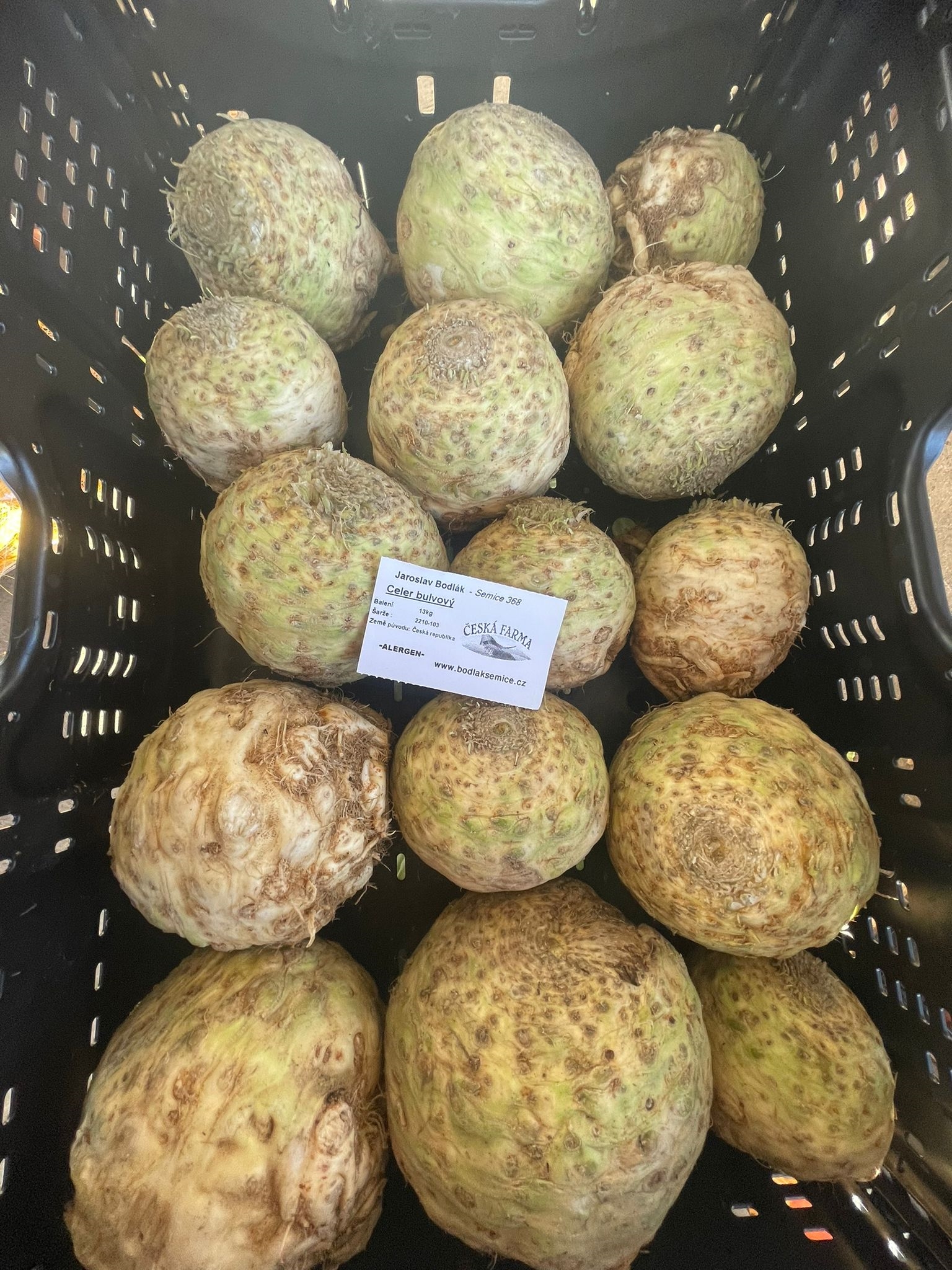 /uploads/producer/Celer bulvový